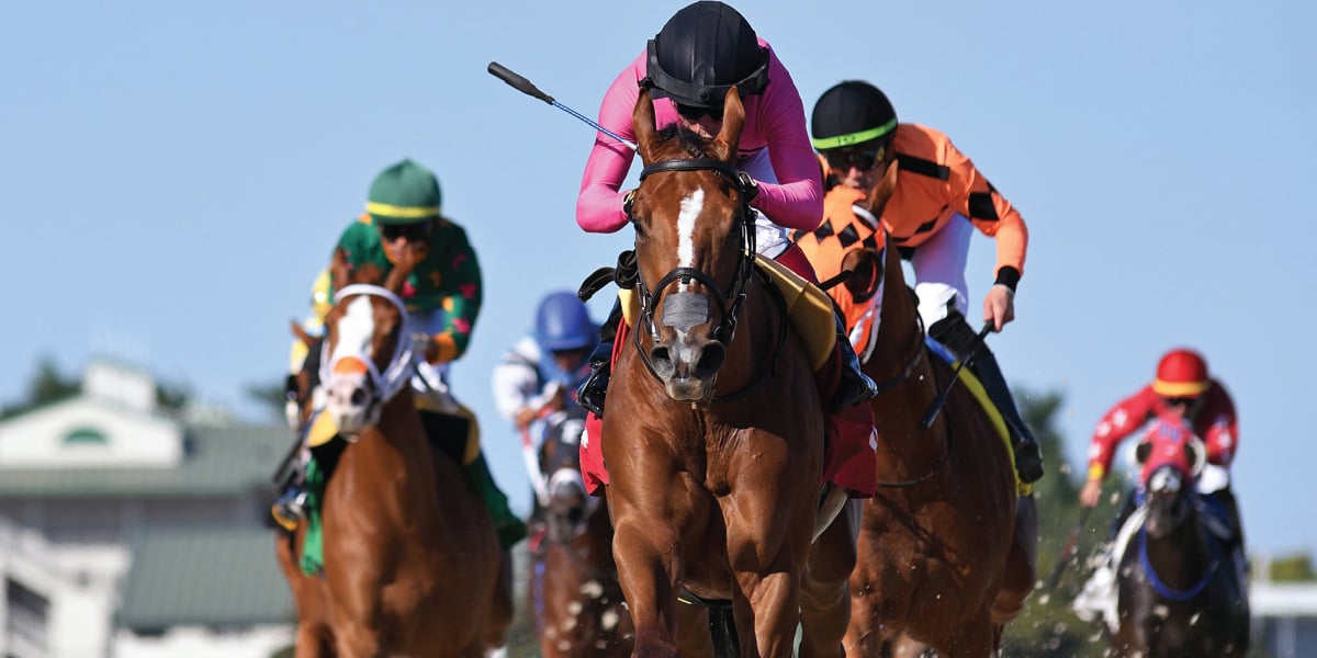 Classic horse web graphic 2-80