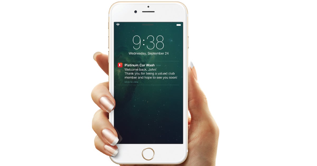 Connected Landscape Size 1-80